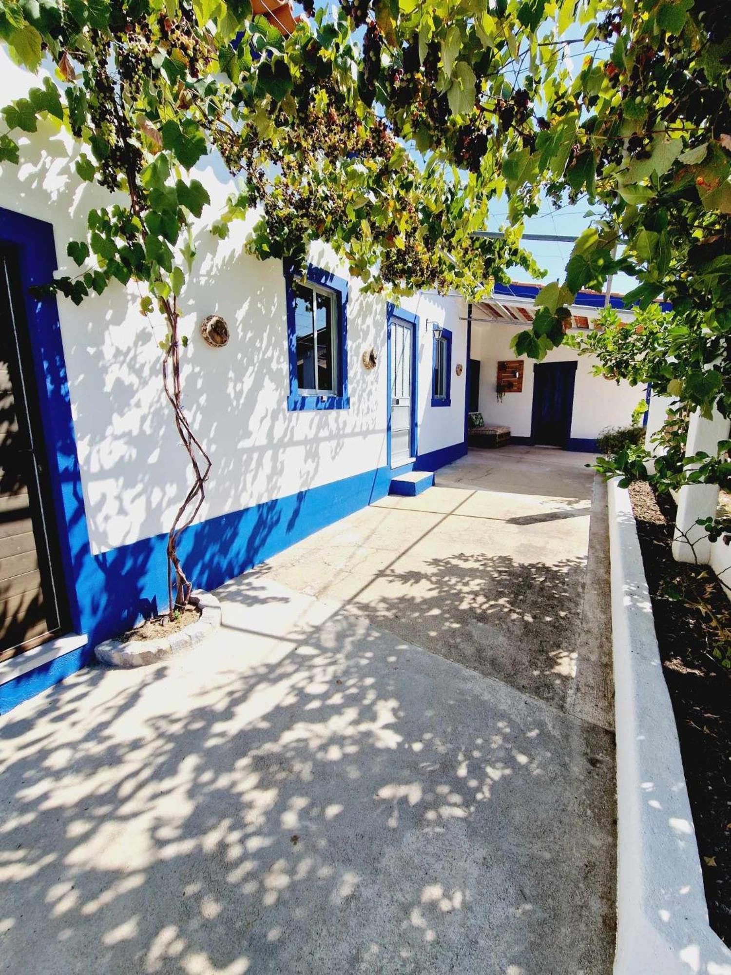 Casa Dos Martelitos Βίλα Salgueira  Εξωτερικό φωτογραφία